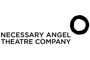 Necessary Angel logo