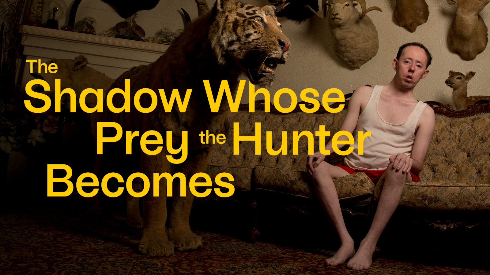 A wall filled with taxidermy including a bighorn sheep, a deer and a tiger with a person wearing a white tank top and red shorts, sitting on a floral sofa leaning to the left. Yellow text: 
